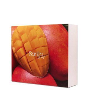 Великий подарунковий набір Santa Fruit у коробці: 3 гелі для душу 350 мл + 3 креми для рук 35 мл &mdash; Mango, Papaya, Kiwifruit АB0058 фото